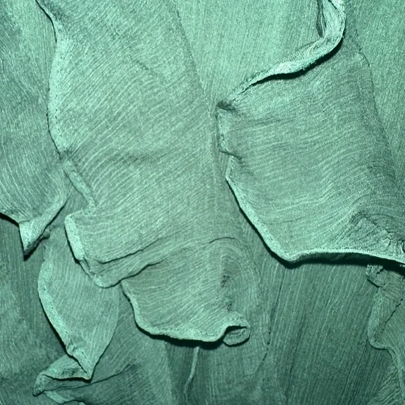 BHLDN Dark Green Ruffled Maxi Dress - Picture 3 of 7